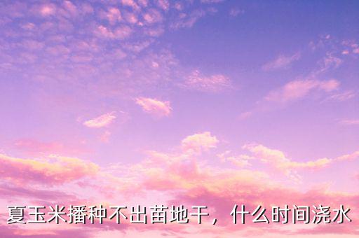 夏玉米播種不出苗地干，什么時(shí)間澆水