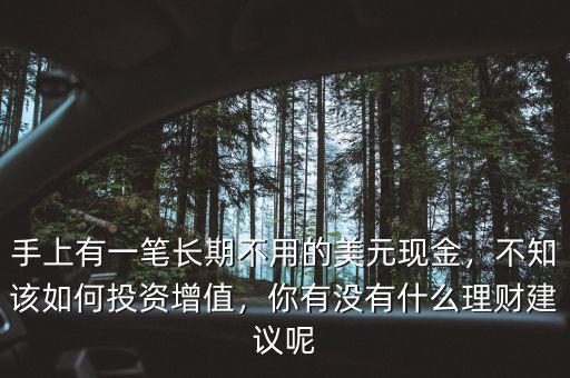 手上有一筆長期不用的美元現(xiàn)金，不知該如何投資增值，你有沒有什么理財(cái)建議呢
