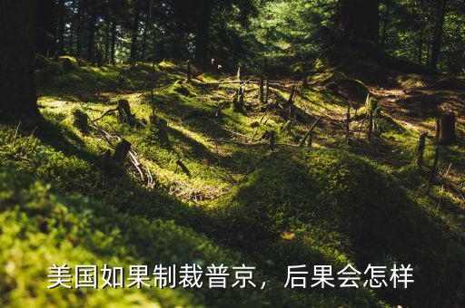 美國如果制裁普京，后果會怎樣
