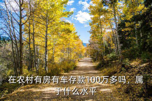 在農(nóng)村有房有車存款100萬多嗎，屬于什么水平