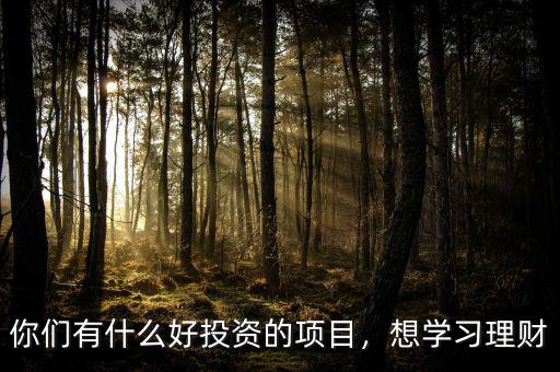 你們有什么好投資的項(xiàng)目，想學(xué)習(xí)理財(cái)