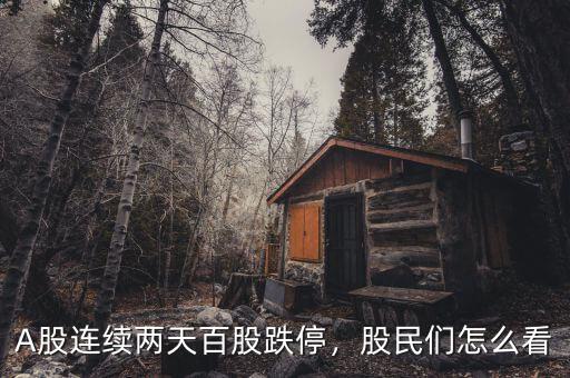 A股連續(xù)兩天百股跌停，股民們怎么看