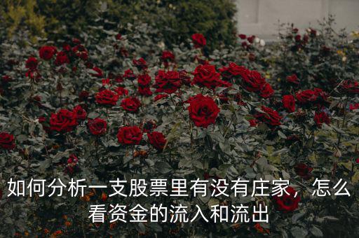 如何分析一支股票里有沒(méi)有莊家，怎么看資金的流入和流出