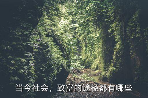 當(dāng)今社會(huì)，致富的途徑都有哪些