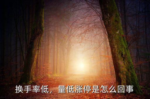換手率低，量低漲停是怎么回事