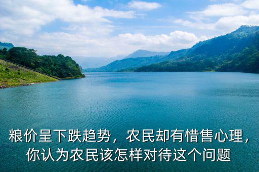 糧價呈下跌趨勢，農(nóng)民卻有惜售心理，你認(rèn)為農(nóng)民該怎樣對待這個問題
