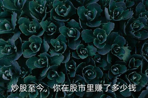 炒股至今，你在股市里賺了多少錢