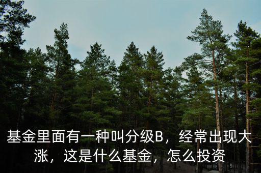 基金里面有一種叫分級B，經(jīng)常出現(xiàn)大漲，這是什么基金，怎么投資