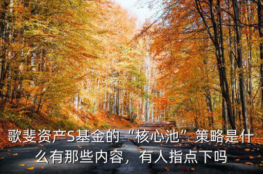 歌斐資產(chǎn)S基金的“核心池”策略是什么有那些內容，有人指點下嗎