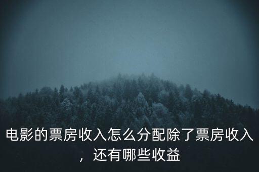 電影的票房收入怎么分配除了票房收入，還有哪些收益