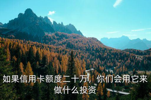 如果信用卡額度二十萬，你們會(huì)用它來做什么投資