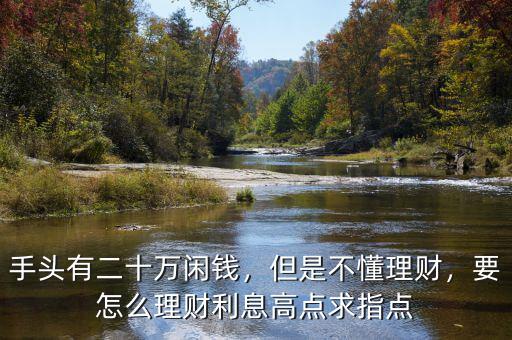 手頭有二十萬閑錢，但是不懂理財，要怎么理財利息高點求指點