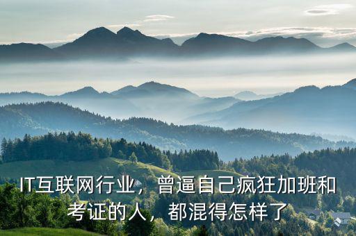 IT互聯(lián)網(wǎng)行業(yè)，曾逼自己瘋狂加班和考證的人，都混得怎樣了
