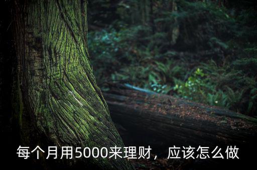 每個月用5000來理財，應(yīng)該怎么做