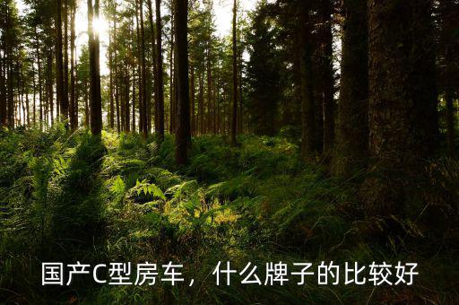 國產(chǎn)C型房車，什么牌子的比較好