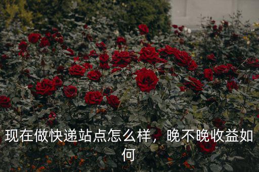 現(xiàn)在做快遞站點(diǎn)怎么樣，晚不晚收益如何
