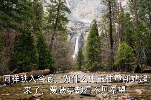 同樣跌入谷底，為什么史玉柱重新站起來了，賈躍亭卻看不見希望