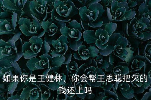 如果你是王健林，你會幫王思聰把欠的錢還上嗎