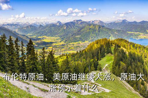 布倫特原油、美原油繼續(xù)大漲，原油大漲預(yù)示著什么