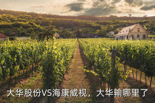 海康威視怎么持有股份,寧德時(shí)代和?？低?/></a></span><span id=