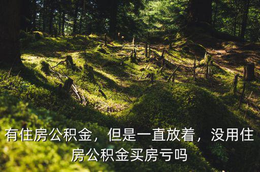 有住房公積金，但是一直放著，沒用住房公積金買房虧嗎