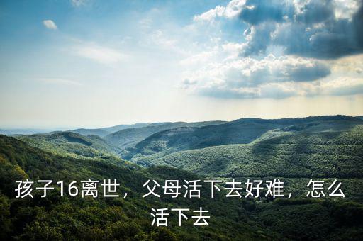 孩子16離世，父母活下去好難，怎么活下去