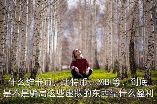 什么維卡幣，比特幣，MBI等，到底是不是騙局這些虛擬的東西靠什么盈利