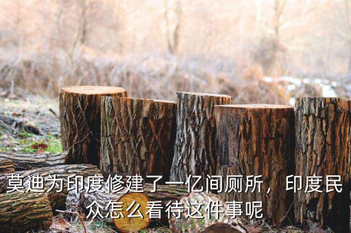 莫迪為印度修建了一億間廁所，印度民眾怎么看待這件事呢