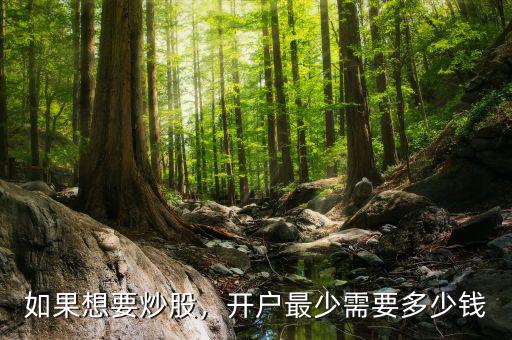 如果想要炒股，開戶最少需要多少錢