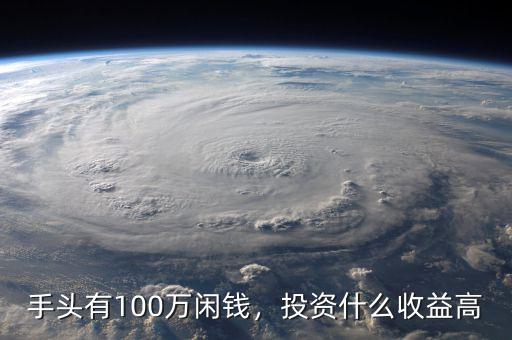 手頭有100萬閑錢，投資什么收益高