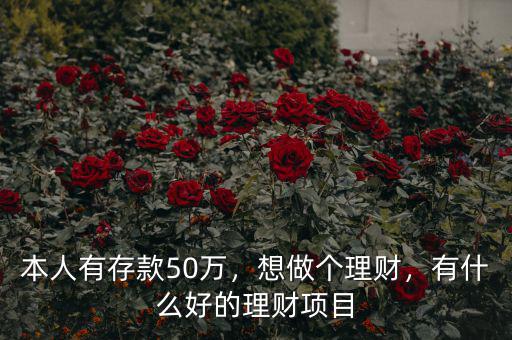 本人有存款50萬，想做個(gè)理財(cái)，有什么好的理財(cái)項(xiàng)目