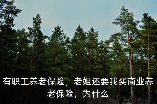 有職工養(yǎng)老保險(xiǎn)，老姐還要我買商業(yè)養(yǎng)老保險(xiǎn)，為什么