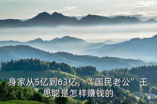 身家從5億到63億，“國民老公”王思聰是怎樣賺錢的