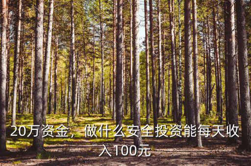 20萬(wàn)資金，做什么安全投資能每天收入100元
