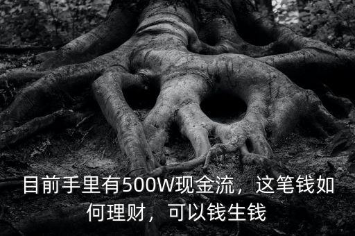 目前手里有500W現(xiàn)金流，這筆錢如何理財(cái)，可以錢生錢