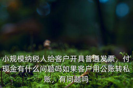 小規(guī)模納稅人給客戶開具普通發(fā)票，付現(xiàn)金有什么問(wèn)題嗎如果客戶用公賬轉(zhuǎn)私賬，有問(wèn)題嗎