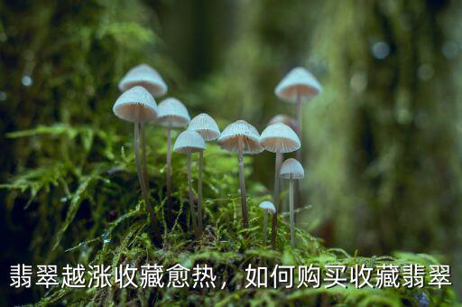 翡翠越漲收藏愈熱，如何購(gòu)買收藏翡翠