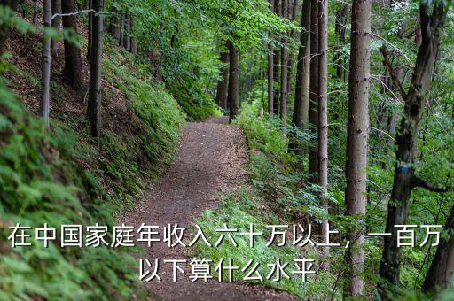 在中國家庭年收入六十萬以上，一百萬以下算什么水平