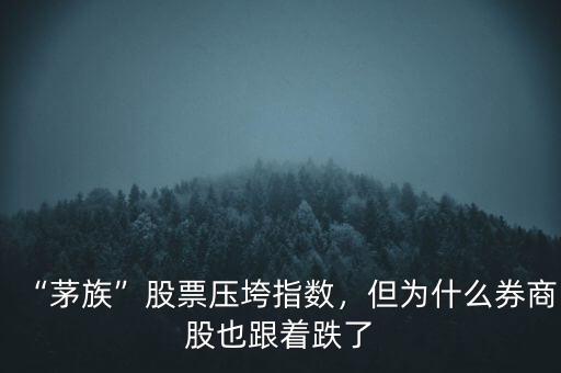 “茅族”股票壓垮指數(shù)，但為什么券商股也跟著跌了
