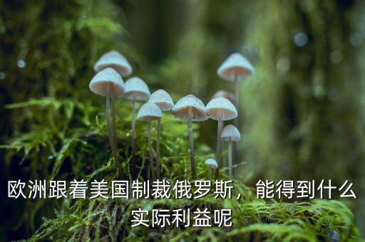歐洲跟著美國(guó)制裁俄羅斯，能得到什么實(shí)際利益呢