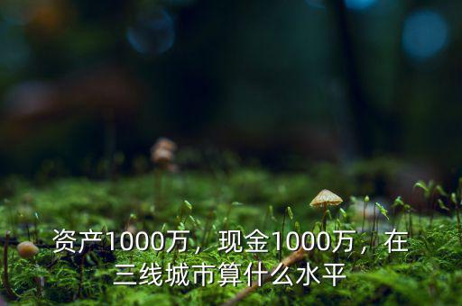 資產(chǎn)1000萬，現(xiàn)金1000萬，在三線城市算什么水平