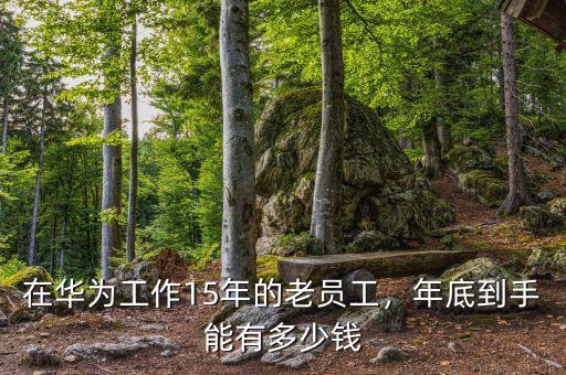 在華為工作15年的老員工，年底到手能有多少錢