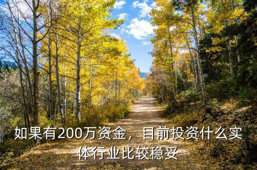 如果有200萬資金，目前投資什么實體行業(yè)比較穩(wěn)妥