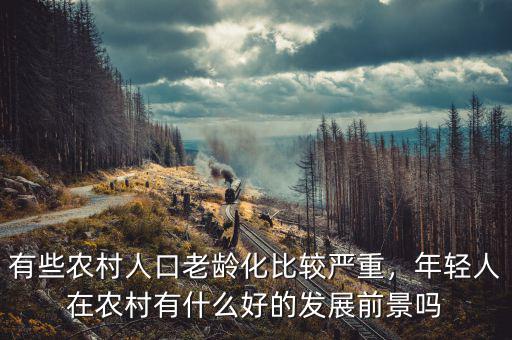 有些農(nóng)村人口老齡化比較嚴(yán)重，年輕人在農(nóng)村有什么好的發(fā)展前景嗎