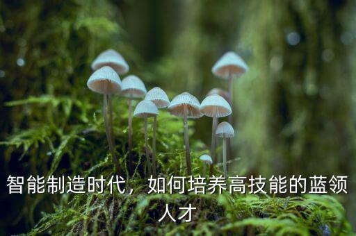 智能制造時代，如何培養(yǎng)高技能的藍(lán)領(lǐng)人才