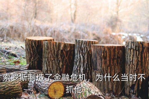 索羅斯制造了金融危機(jī)，為什么當(dāng)時(shí)不抓他