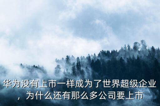 華為沒有上市一樣成為了世界超級企業(yè)，為什么還有那么多公司要上市