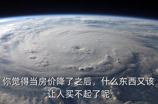 你覺(jué)得當(dāng)房?jī)r(jià)降了之后，什么東西又該讓人買(mǎi)不起了呢
