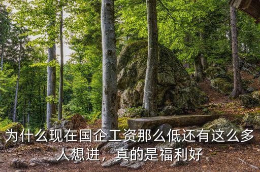 為什么現(xiàn)在國企工資那么低還有這么多人想進(jìn)，真的是福利好