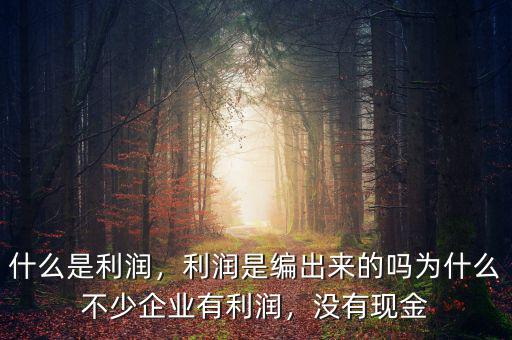 什么是利潤，利潤是編出來的嗎為什么不少企業(yè)有利潤，沒有現(xiàn)金